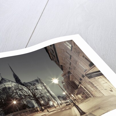 Notre-Dame de Paris, France by Assaf Frank